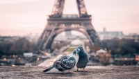 Lovely Couples