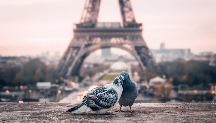 Lovely Couples
